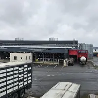Avec l'extension du site, comprenant la zone d'attente des porcs vifs ainsi que le dispositif d'étourdissement au CO2, l'abattoir Cooperl Viande a con