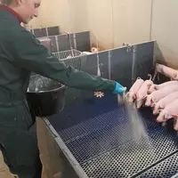 Les additifs à incorporer dans le lisier sont nombreux. Mais ils n'ont pas tous le même effet.