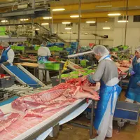 abattoir découpe fipso