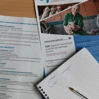 Plusieurs dispositifs permettent de former des novices adultes à l’élevage porcin.