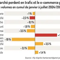 Les hypermarché perdent en trafic et le e-commerce progresseÉvolution des volumes en cumul de janvier à juillet 2024/2023