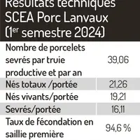 Résultats techniques SCEA Porc Lanvaux (1er semestre 2024)39 porcelets sevrés par truie et par an