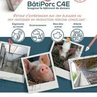 Bâtiment porcin : de nouveaux concepts d’engraissement en quarante fiches
