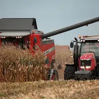 Récolte moisson maïs. Moissonneuse Massey Ferguson 5 secoueurs / Récolte maïs grain 2011. Equipement. Machinisme agricole. Rem