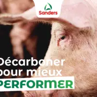 porc sanders