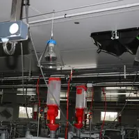 <em class="placeholder">Chaque case comprend une lampe de chauffage à l’arrière de la truie (possibilité d’ajouter une seconde). Elles sont reliées à