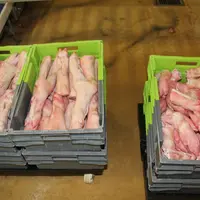 abattoir découpe pieds