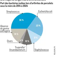 Graphique = Une majorité de germes d’environnementPart des bactéries isolées lors d’arthrites de porcelets sous la mère de 201