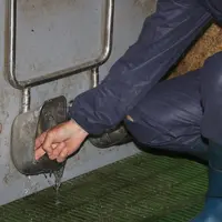 <em class="placeholder">« Je surveille chaque jour la consommation d’eau de mes porcelets en post-sevrage »</em>