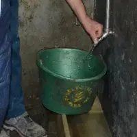 Contrôler le débit d’eau des pipettes et bols peut permettre d’économiser l’eau