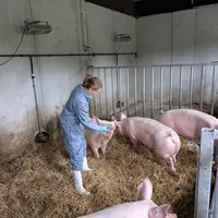 Encore trop de préjugés - Pas assez de travaux des champs