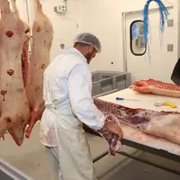 Les petits abattoirs de proximité sont essentiel pour assurer la pérennité des élevages qui transforment et commercialisent le