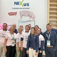 La Nexus 100 est issue de la combinaison des génétiques de Hypor et Danish Genetics.