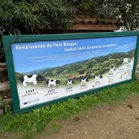 <em class="placeholder">porc Kintoa Pays Basque Improvac</em>