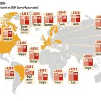 Graphique = Des résultats toujours bons en 2024Prix perçus, coûts de production et écarts en 2024 (euros/kg carcasse)