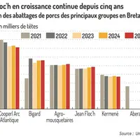 Graphique = Jean Floch en croissance continue depuis cinq ansÉvolution des abattages de porcs des principaux groupes en Bretag