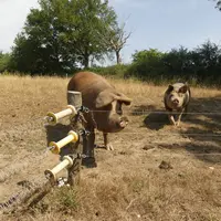 Les quatre scénarios illustrent l’incertitude qui entoure l’avenir de l’agriculture biologique, entre marginalisation et poten