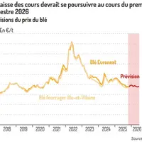 Graphique = La baisse des cours devrait se poursuivre au cours du premier semestre 2026Prévisions du prix du blé