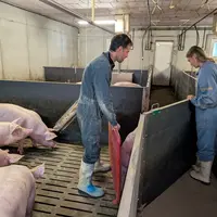 Une démonstration commentée des tâches favorise une exécution selon les attentes et une prise d’autonomie.