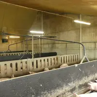 Avec une charpente traditionnelle, le plafond peut être supprimé, afin de passer en grand volume.