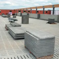 Porcherie en construction. Bâtiment en élevage porcin. Matériau. Investissement.