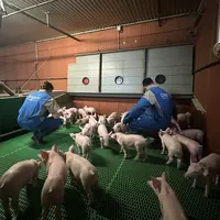 Salarié en élevage - fidélisation