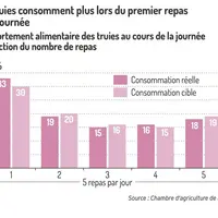 Graphique comportement alimentaire des truies au cours de la journée en fonction du nombre de repas : Les truies consomment plus lors du premier repas
