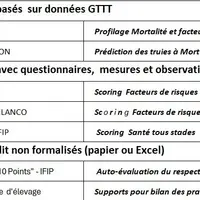 Pertmat de l'Ifip: la première étape d’analyse pour améliorer la survie des porcelets en maternité