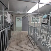 <em class="placeholder">6-Le bureau de l'élevage se situe au milieu de la salle verraterie-gestante pour être au plus près des animaux.</em>