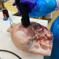 Le Lenz Qmeat Probe et sa sonde invasive présente le meilleur compromis précision-traçabilité pour mesurer la qualité des carc
