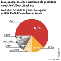 Graphique - Le soja représente les deux tiers de la production mondiale d'oléo protéagineuxProduction mondiale de graines