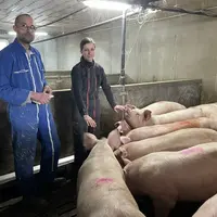<em class="placeholder">Emmanuel Ruelland et sa salariée, Sabrina  dans une salle d'engraissement de porcs</em>