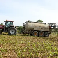 Epandage de lisier sur maïs avec une rampe à pendillards. Fertilisation des cultures. Recyclage des effluents d'élevage.