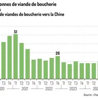 Exportations bretonnes de viande de boucherie vers la Chine