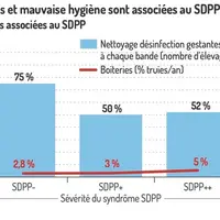 Boiteries et mauvaise hygiène sont associées au SDPPPratiques associées au SDPP