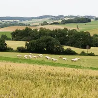 campagne française