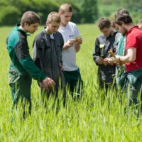 Enseignement agricole