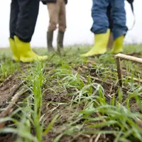 agriculteurs en discussion dans un champs