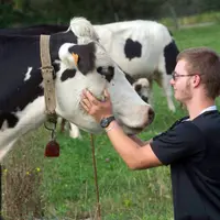 Jeune agriculteur installation
