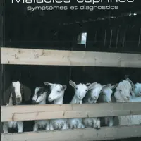 Maladies caprines - symptômes et diagnostics