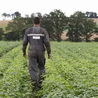 mal-être, suicide chez les agriculteurs