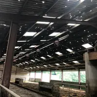 Toit d'un bâtiment d'élevage troué par la grêle