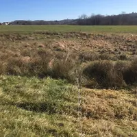 prairie sèche à la fin de l'hiver
