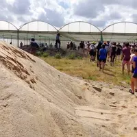 A l'appel des Soulèvements de la Terre, des activistes s'en sont pris à une exploitation de muguet et à des serres expérimentales dimanche 11 juin prè