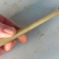 Un bout de sonde sorti de l'estomac !