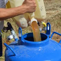 Urine