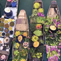 Pirogue