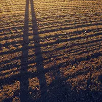 Ombre d'un agriculteur dans un champ
