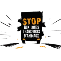 "Stop aux transports d'animaux"