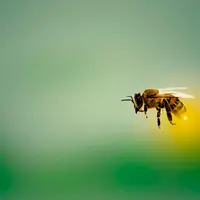 Abeilles